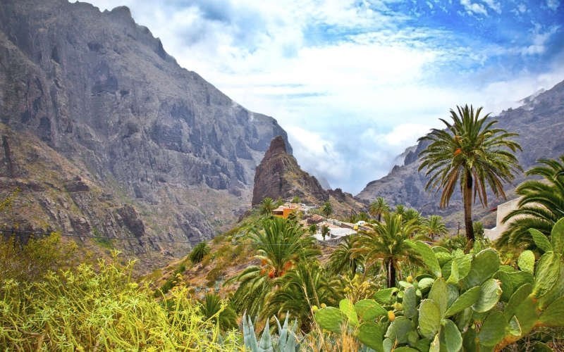 Things to do in Tenerife South