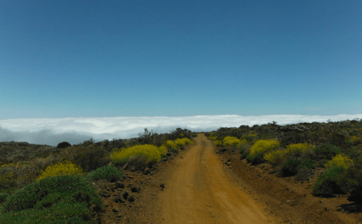 Things to do in Tenerife - driving ridge of the island