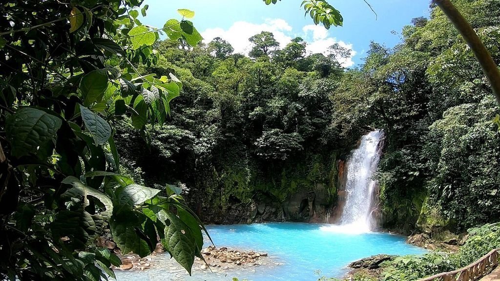 Why Local Costa Rica Tours Are Better Than Mass Operator Tours | TripsPoint