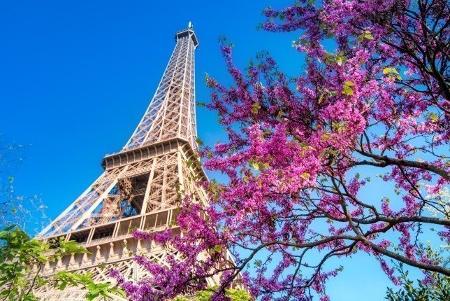 Things to do in Paris - Eiffel