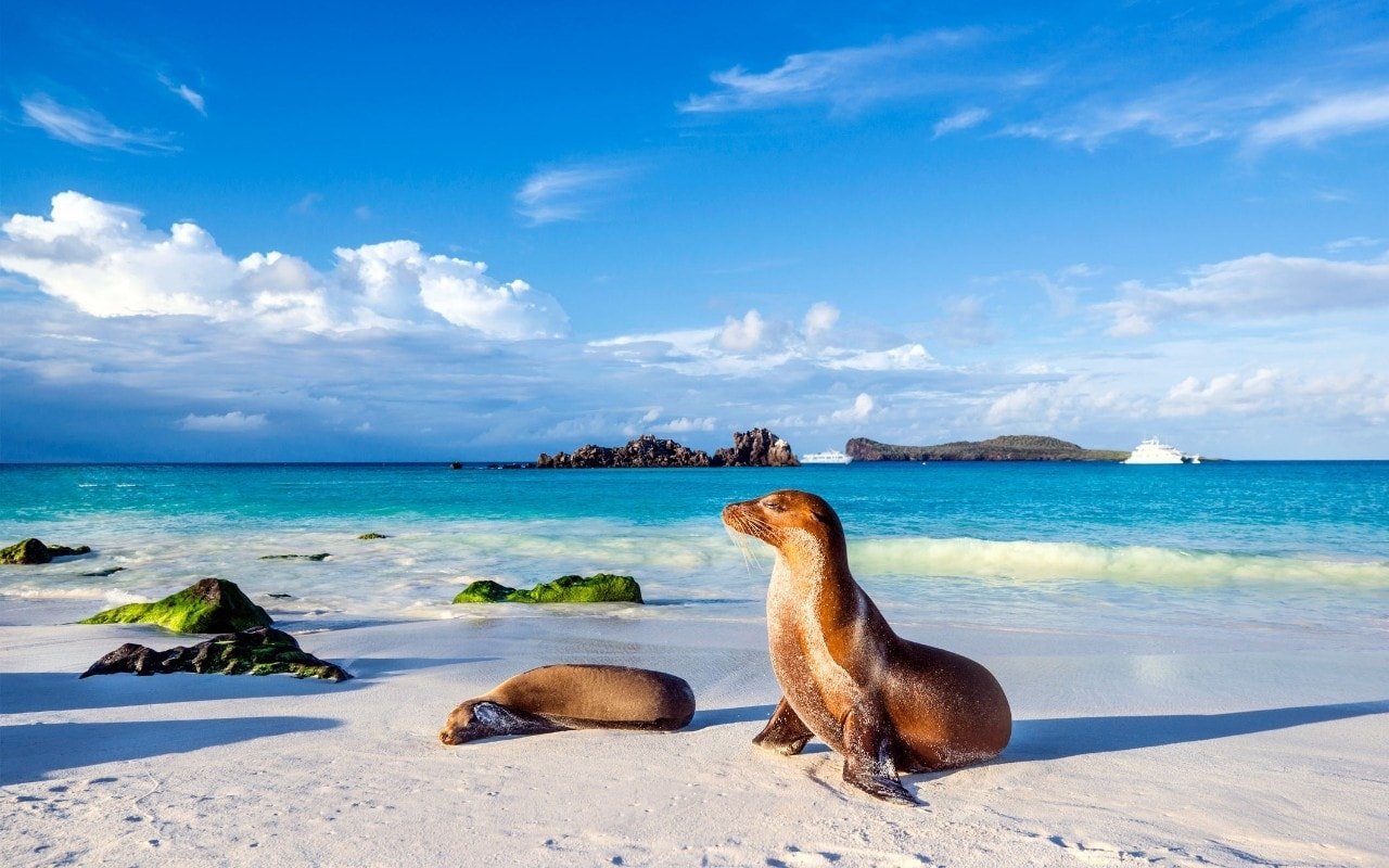 Things to do in Galapagos - beaches