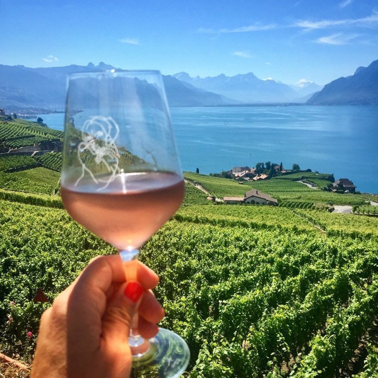 Things to do in Switzerland - wine tasting