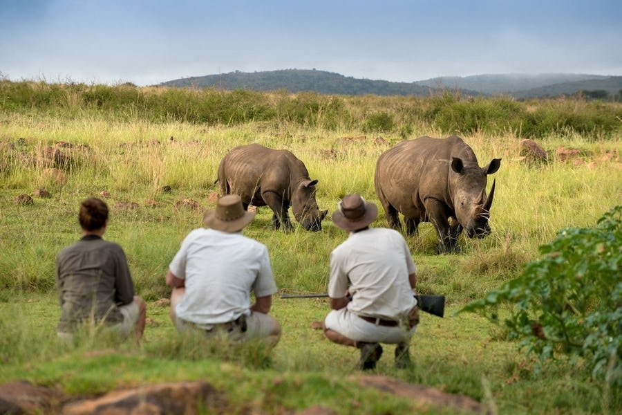 African Safari - be close to your tour guide.