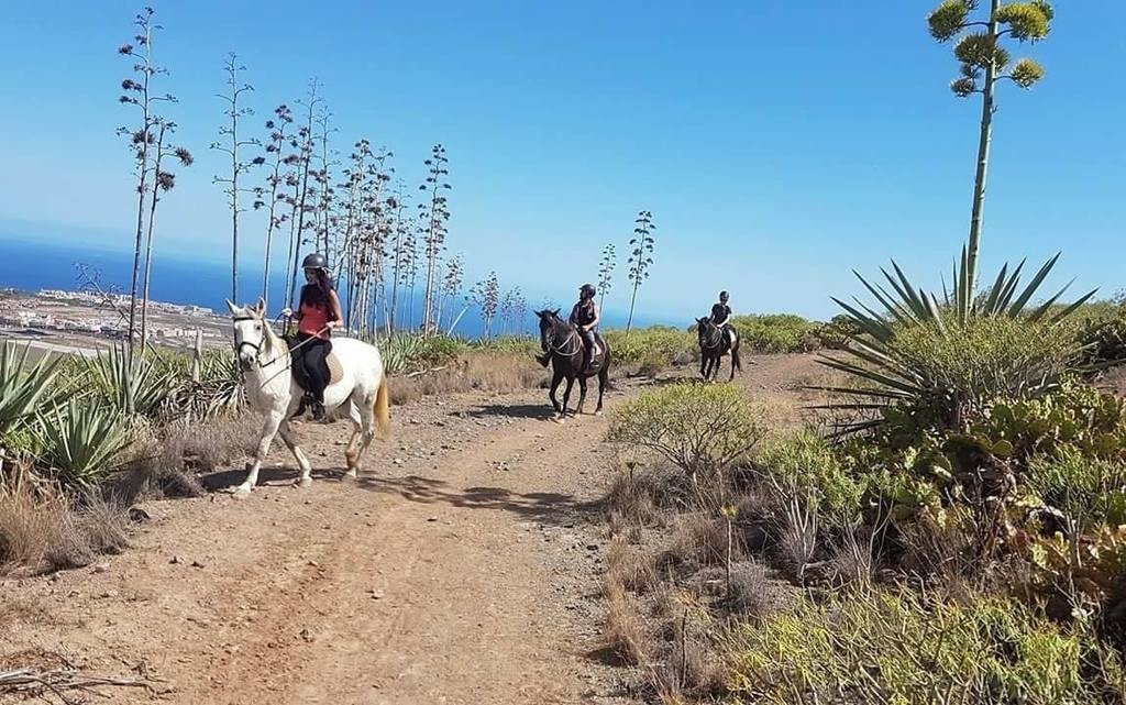 Things to do in Tenerife - Horse Riding